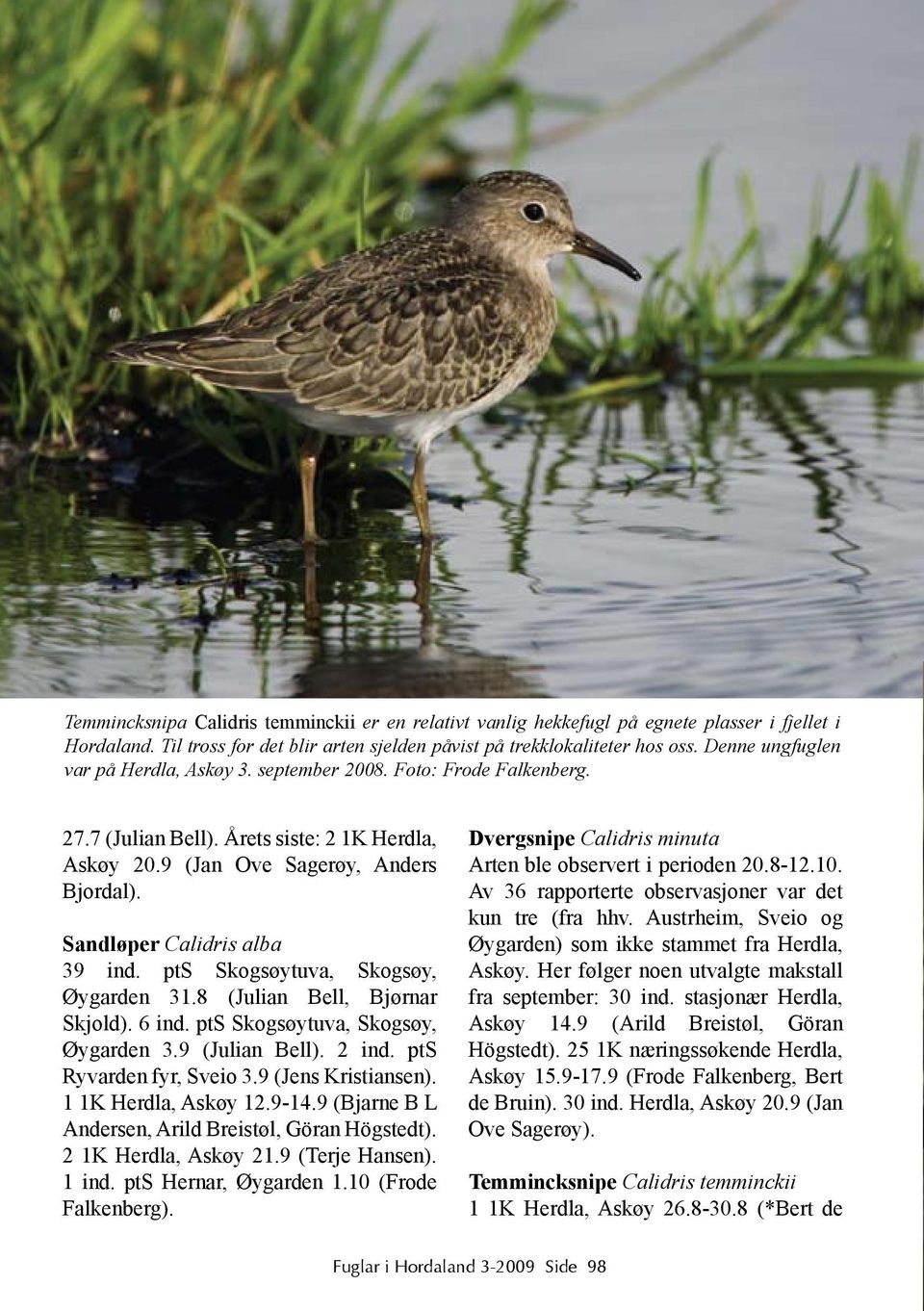 Sandløper Calidris alba 39 ind. pts Skogsøytuva, Skogsøy, Øygarden 31.8 (Julian Bell, Bjørnar Skjold). 6 ind. pts Skogsøytuva, Skogsøy, Øygarden 3.9 (Julian Bell). 2 ind. pts Ryvarden fyr, Sveio 3.