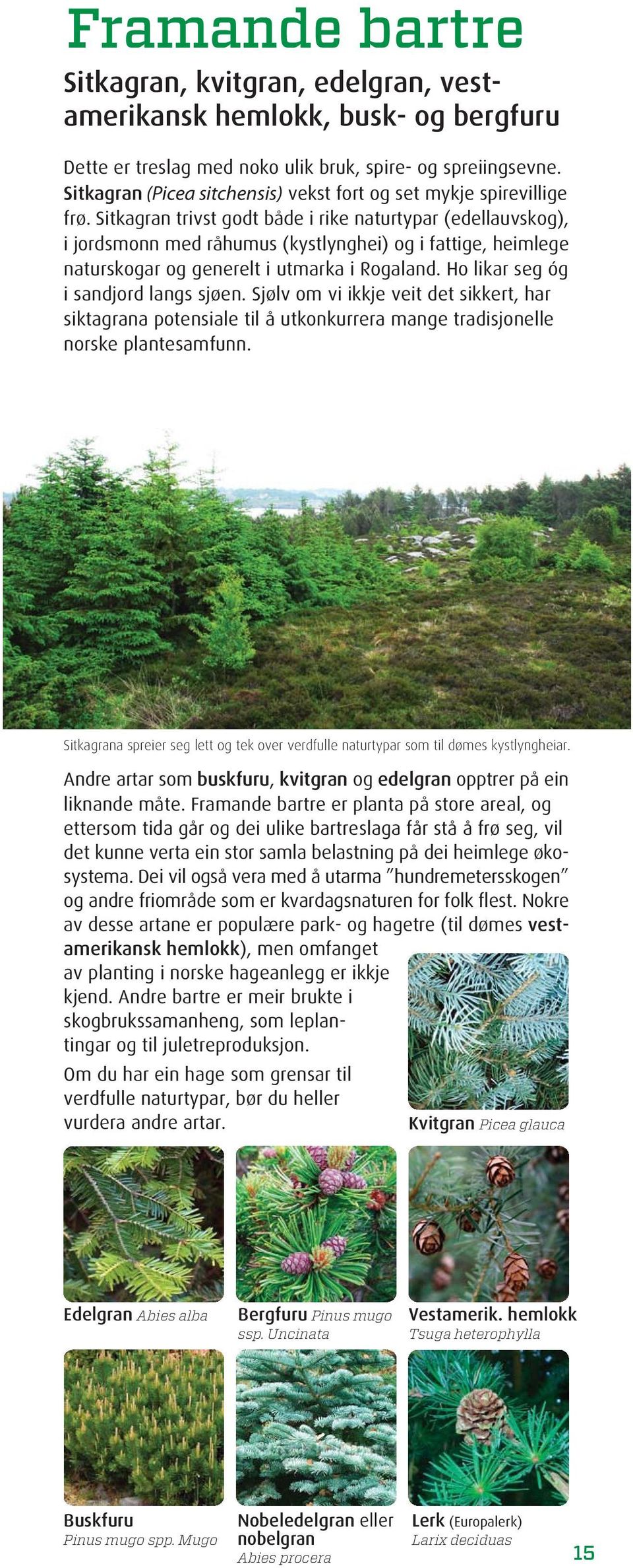 Sitkagran trivst godt både i rike naturtypar (edellauvskog), i jordsmonn med råhumus (kystlynghei) og i fattige, heimlege naturskogar og generelt i utmarka i Rogaland.