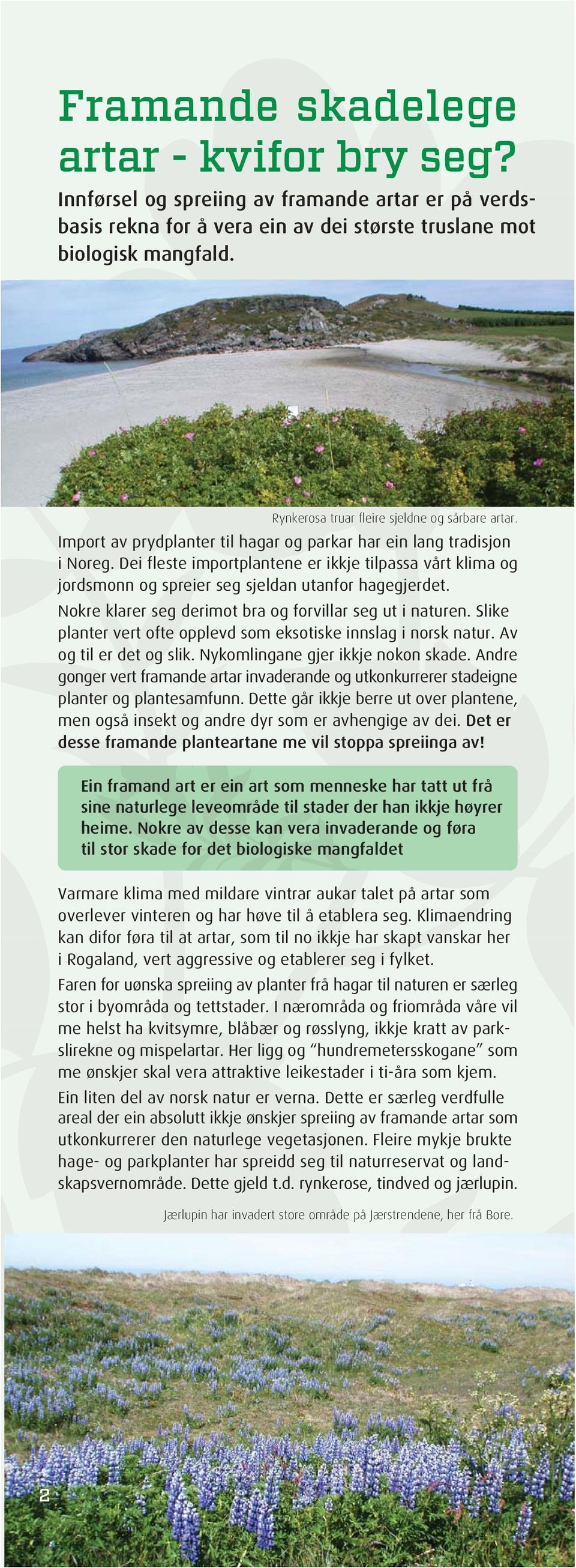 Dei fleste importplantene er ikkje tilpassa vårt klima og jordsmonn og spreier seg sjeldan utanfor hagegjerdet. Nokre klarer seg derimot bra og forvillar seg ut i naturen.