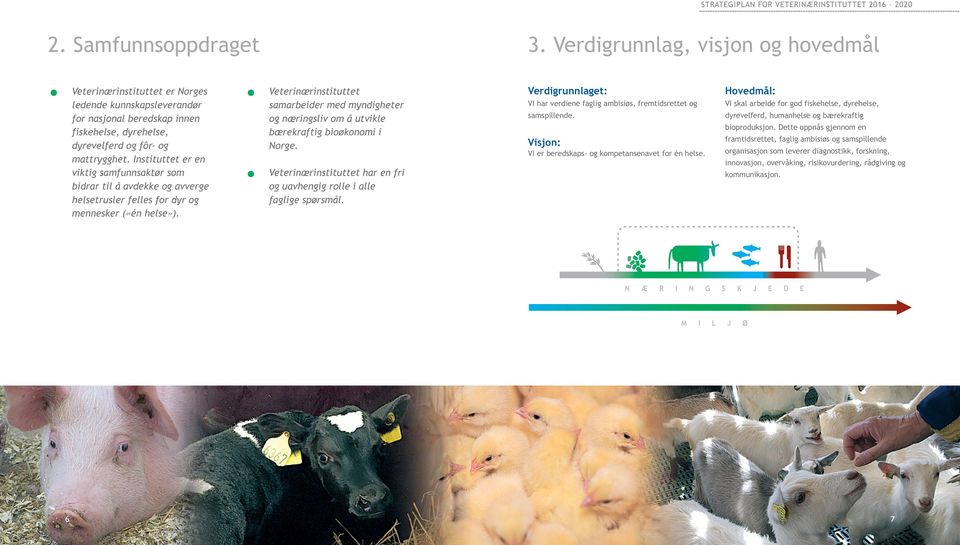 Instituttet er en viktig samfunnsaktør som bidrar til å avdekke og avverge helsetrusler felles for dyr og mennesker («én helse»).