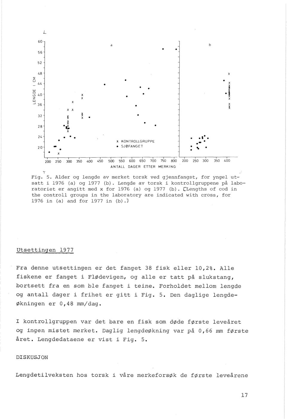 Lengde av torsk i kontrollgruppene på laboratoriet er angitt med x for 1976 (a) og 1977 (b).