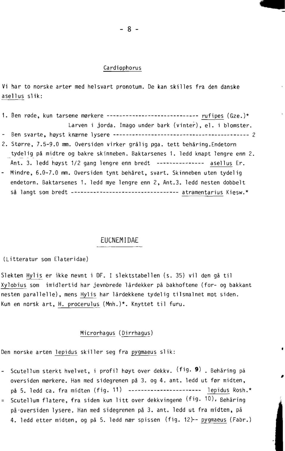 tett beharing.endetorn tydelig pa midtre og bakre skinneben. Baktarsenes 1. ledd knapt lengre enn 2. Ant. 3. ledd hoyst 1/2 gang lengre enn bredt --------------- asellus Er. - Mindre, 6.0-7.0 mm.