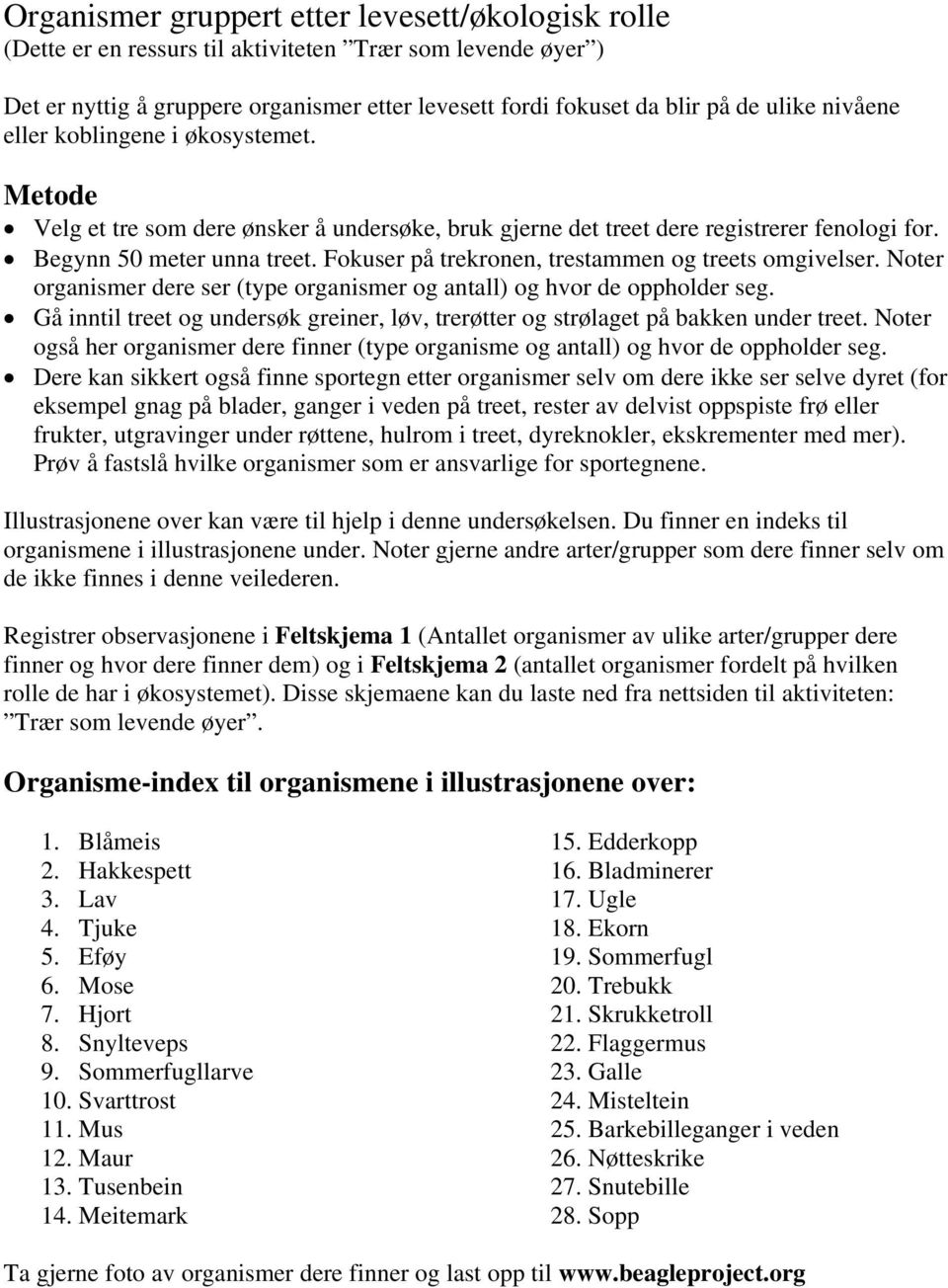 Fokuser på trekronen, trestammen og treets omgivelser. Noter organismer dere ser (type organismer og antall) og hvor de oppholder seg.