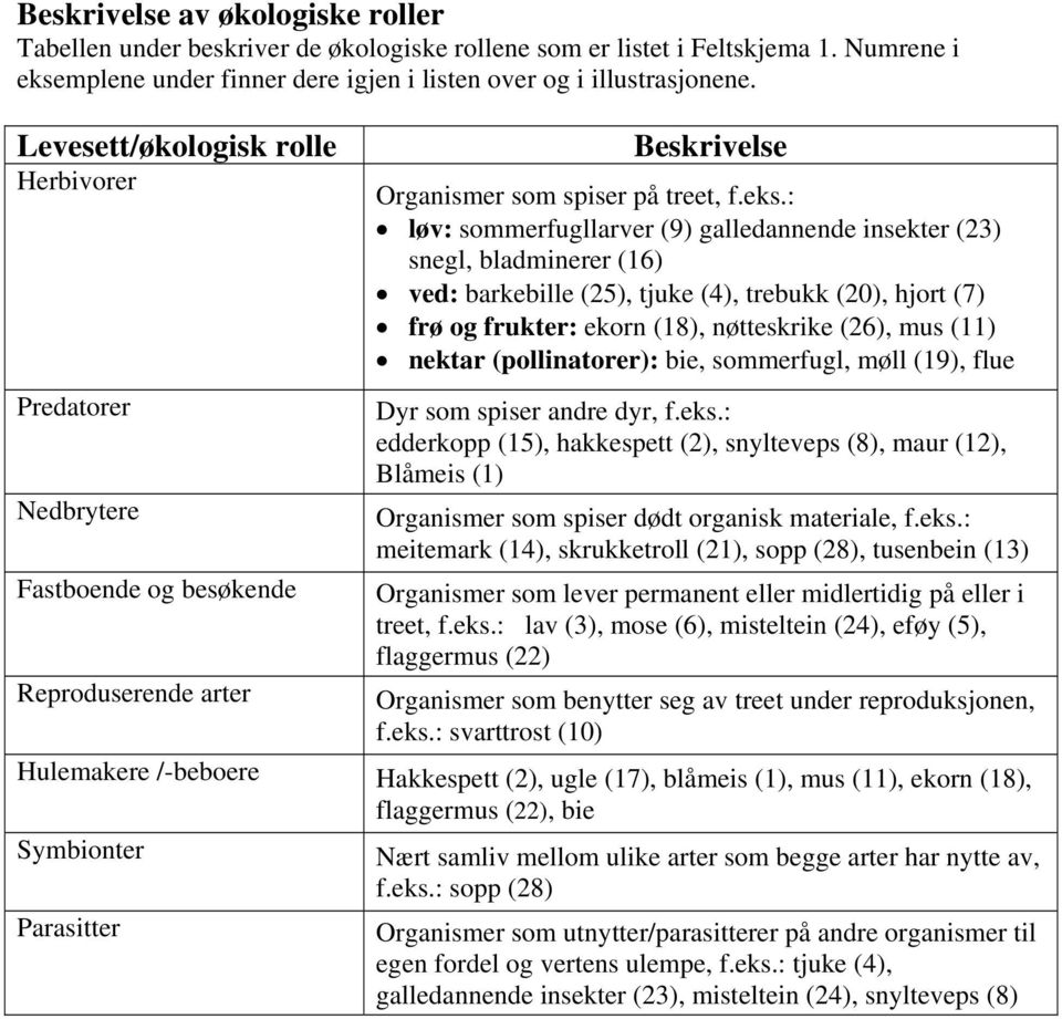 : løv: sommerfugllarver (9) galledannende insekter (23) snegl, bladminerer (16) ved: barkebille (25), tjuke (4), trebukk (20), hjort (7) frø og frukter: ekorn (18), nøtteskrike (26), mus (11) nektar