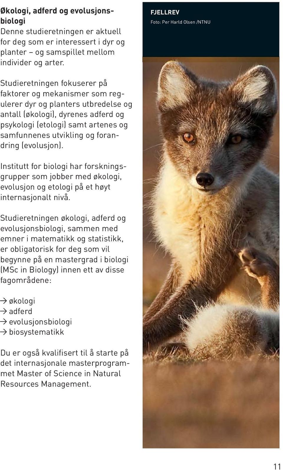 artenes og samfunnenes utvikling og forandring (evolusjon). Institutt for biologi har forskningsgrupper som jobber med økologi, evolusjon og etologi på et høyt internasjonalt nivå.