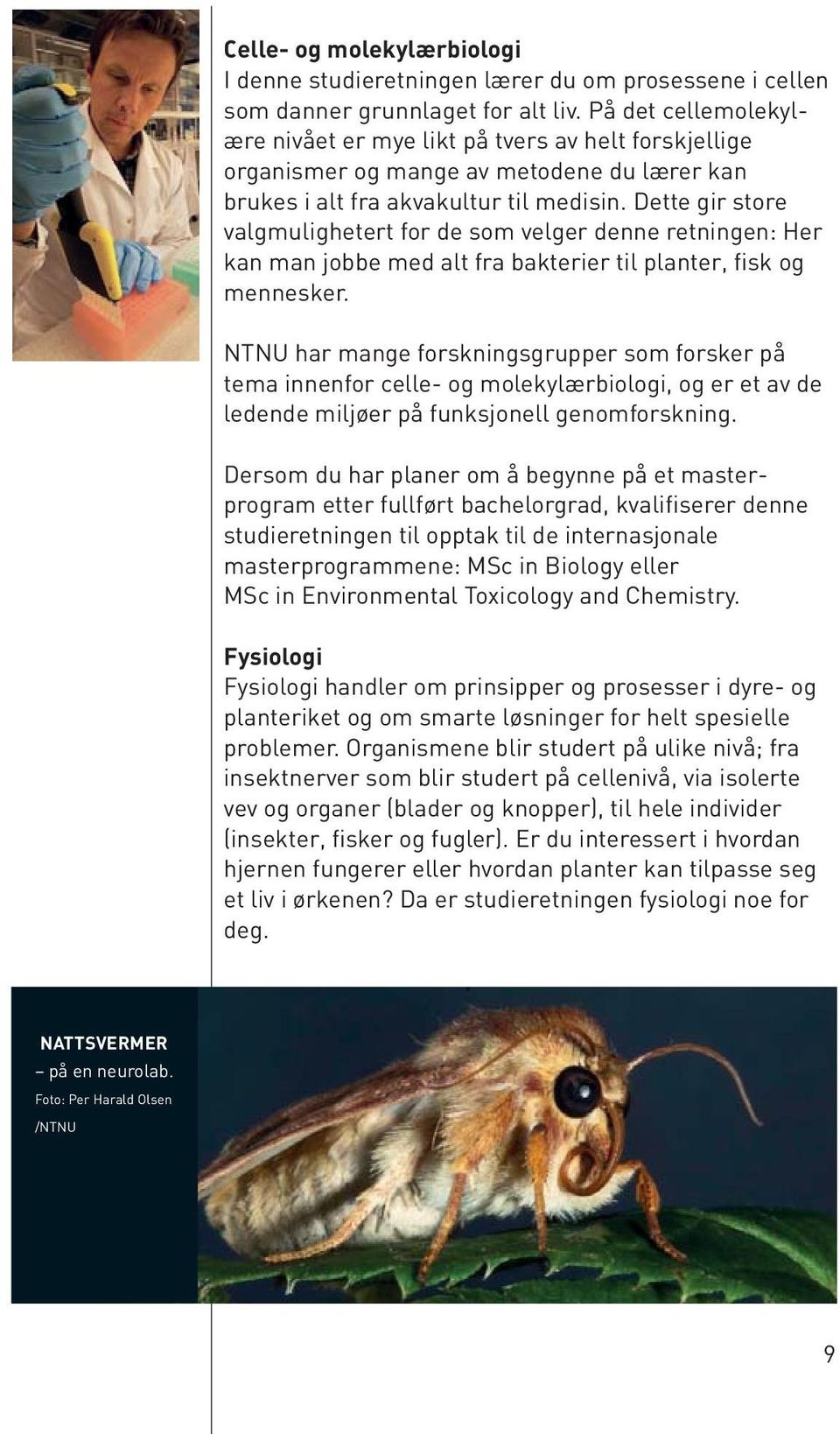 Dette gir store valgmulighetert for de som velger denne retningen: Her kan man jobbe med alt fra bakterier til planter, fisk og mennesker.