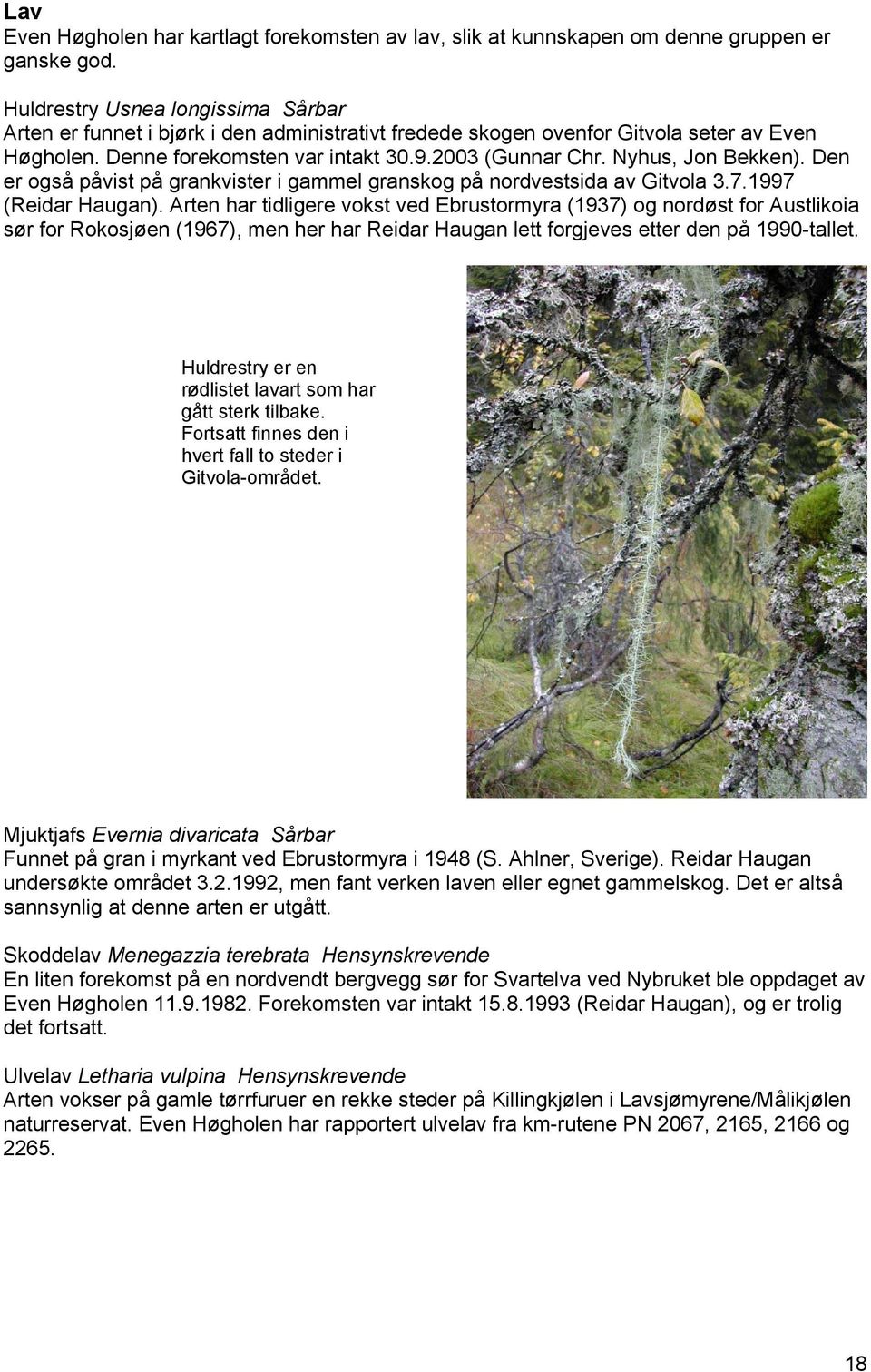 Nyhus, Jon Bekken). Den er også påvist på grankvister i gammel granskog på nordvestsida av Gitvola 3.7.1997 (Reidar Haugan).