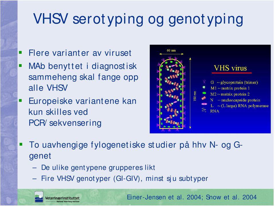 PCR/sekvensering To uavhengige fylogenetiske studier på hhv N- og G- genet De ulike