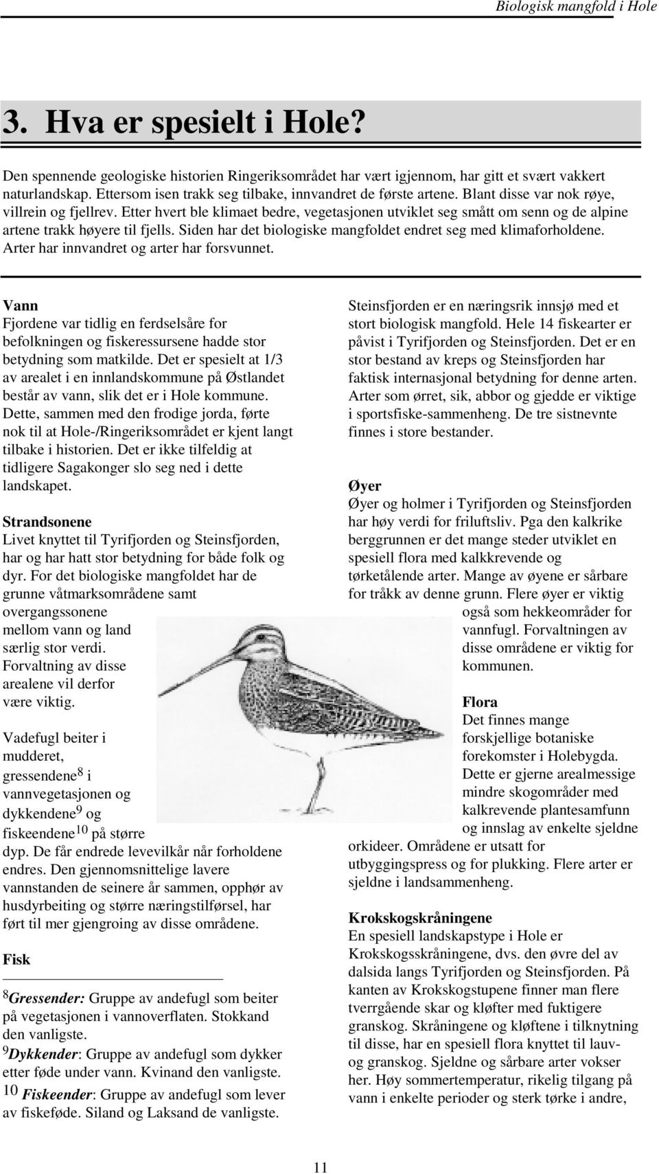 Siden har det biologiske mangfoldet endret seg med klimaforholdene. Arter har innvandret og arter har forsvunnet.