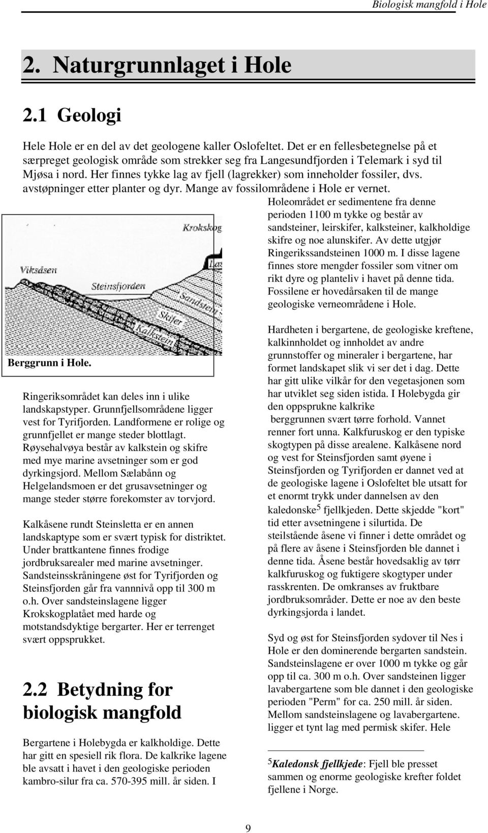 Her finnes tykke lag av fjell (lagrekker) som inneholder fossiler, dvs. avstøpninger etter planter og dyr. Mange av fossilområdene i Hole er vernet.