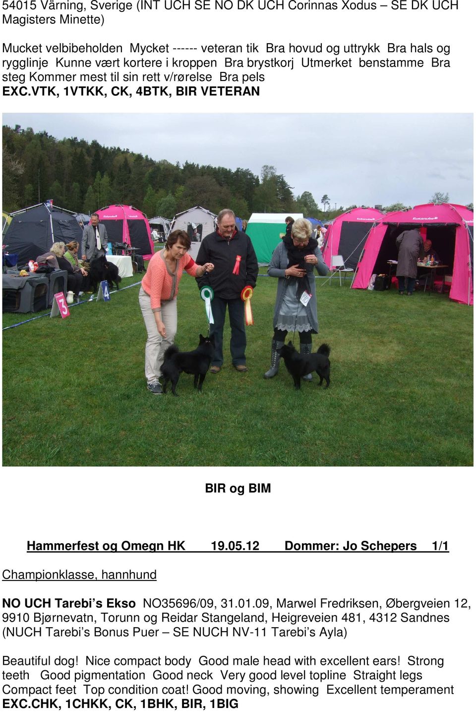12 Dommer: Jo Schepers 1/1 Championklasse, hannhund NO UCH Tarebi s Ekso NO35696/09, 31.01.