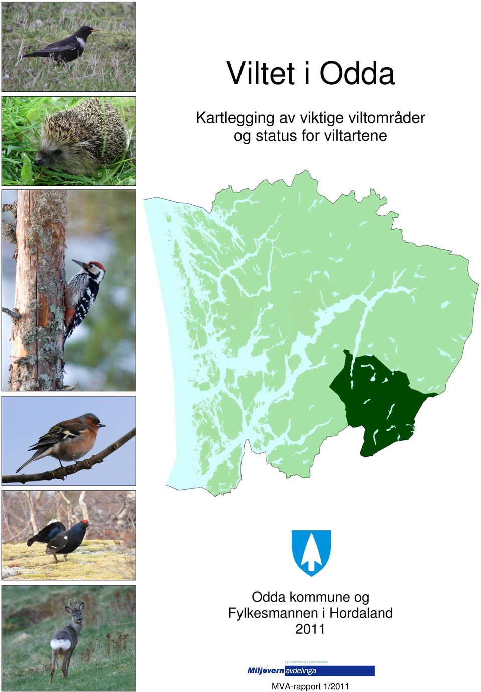 viltartene dda kommune og