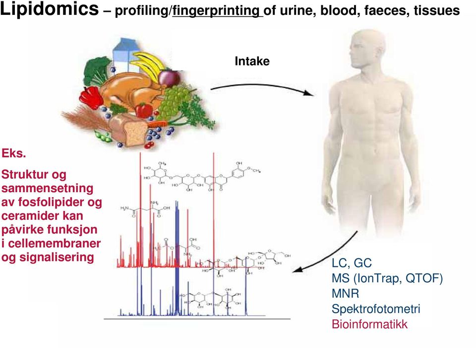 Struktur og sammensetning av fosfolipider og ceramider kan