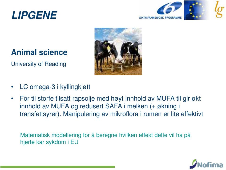 melken (+ økning i transfettsyrer).