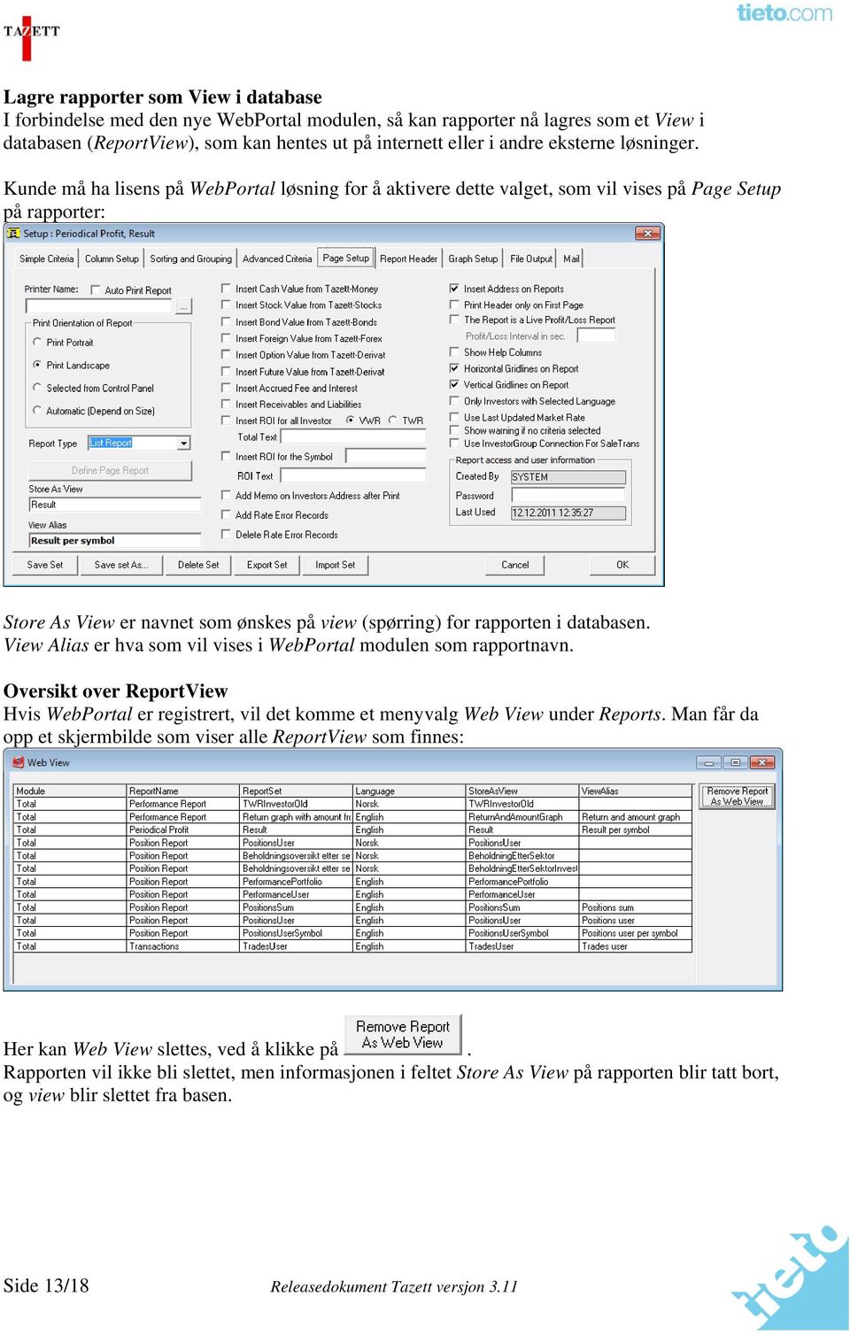 Kunde må ha lisens på WebPortal løsning for å aktivere dette valget, som vil vises på Page Setup på rapporter: Store As View er navnet som ønskes på view (spørring) for rapporten i databasen.