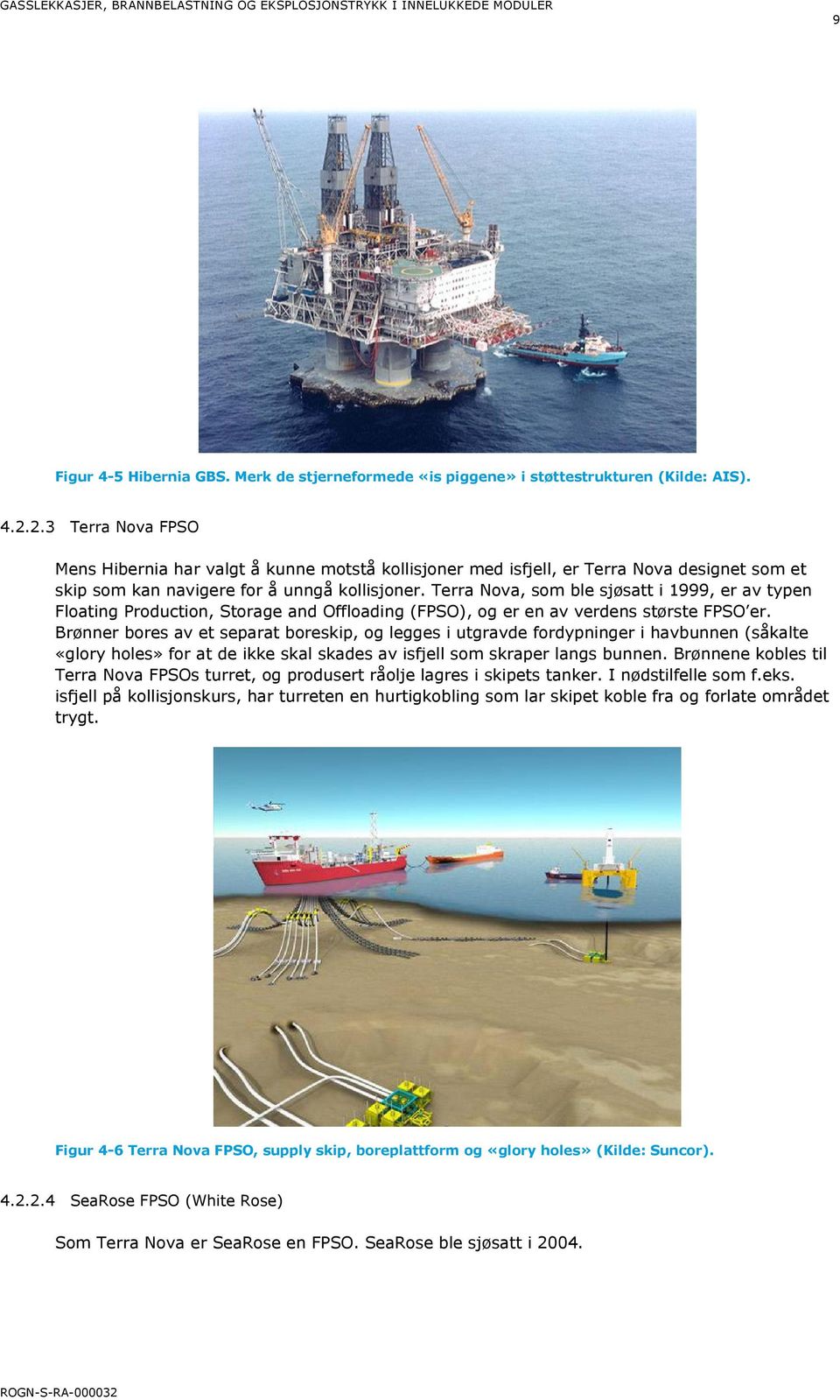 Terra Nova, som ble sjøsatt i 1999, er av typen Floating Production, Storage and Offloading (FPSO), og er en av verdens største FPSO er.