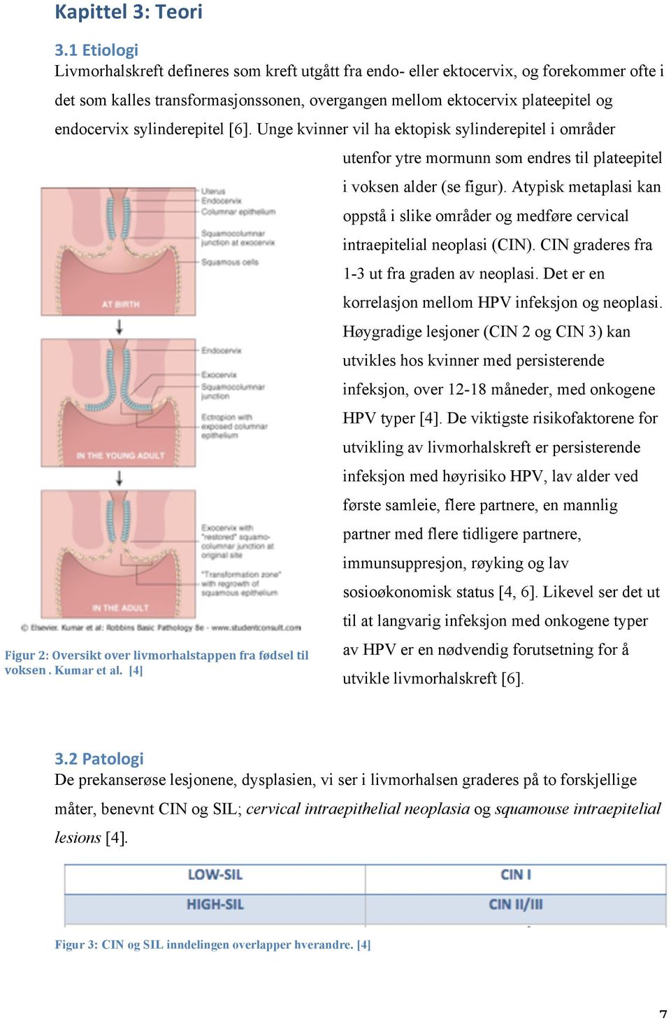 sylinderepitel [6]. Unge kvinner vil ha ektopisk sylinderepitel i områder Figur 2: Oversikt over livmorhalstappen fra fødsel til voksen. Kumar et al.