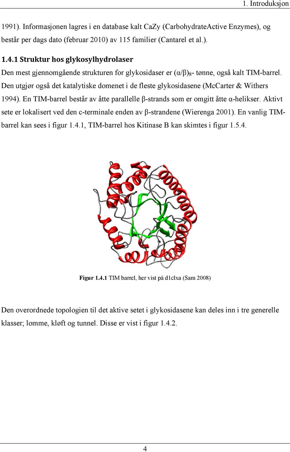 Den utgjør også det katalytiske domenet i de fleste glykosidasene (McCarter & Withers 1994). En TIM-barrel består av åtte parallelle β-strands som er omgitt åtte α-helikser.