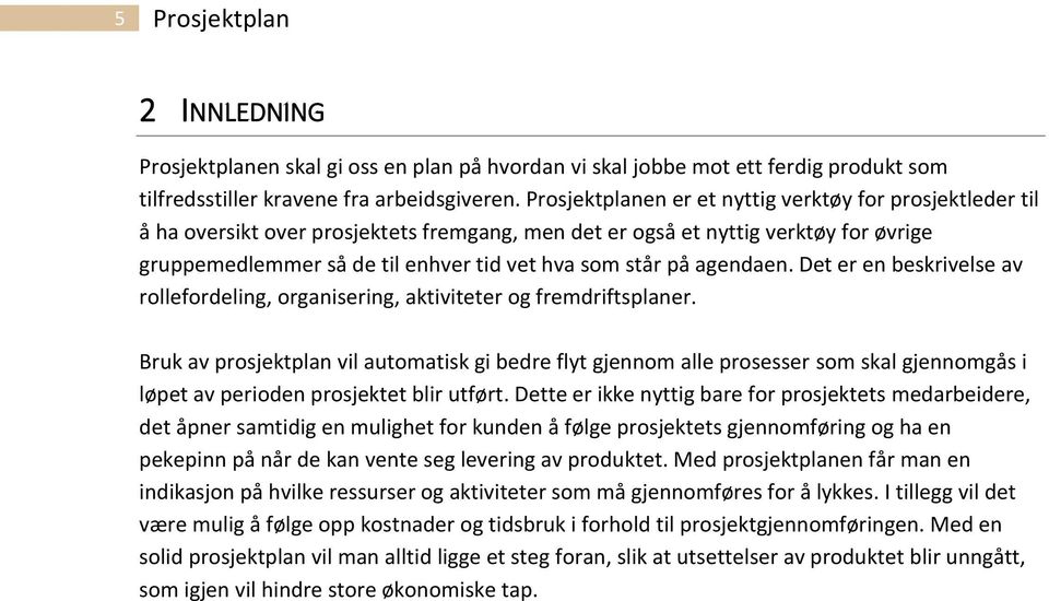 på agendaen. Det er en beskrivelse av rollefordeling, organisering, aktiviteter og fremdriftsplaner.