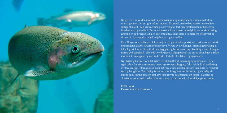 Det er et spørsmål hvor konkurransedyktig norsk akvanæring egentlig er, og hvordan vi på en best mulig måte kan klare å kombinere effektivitet og økonomi i fiskeoppdrett med miljøhensyn og