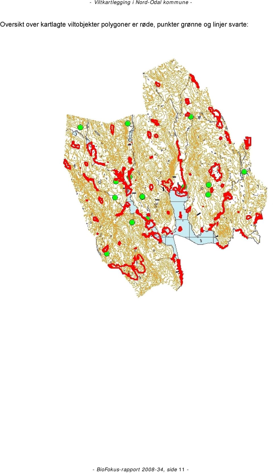 punkter grønne og linjer