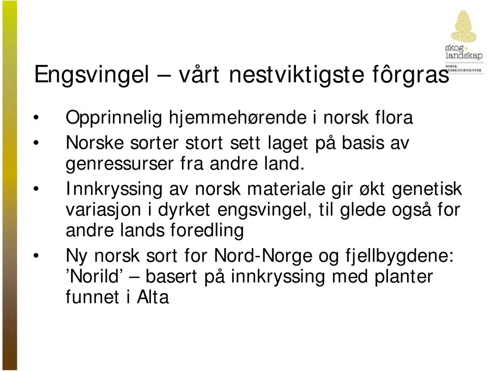 Innkryssing av norsk materiale gir økt genetisk variasjon i dyrket engsvingel, til glede