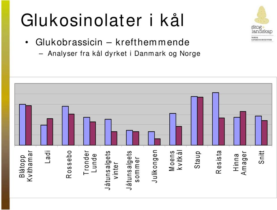 Rossebo Tronder Lunde Jåtunsalgets vinter Jåtunsalgets