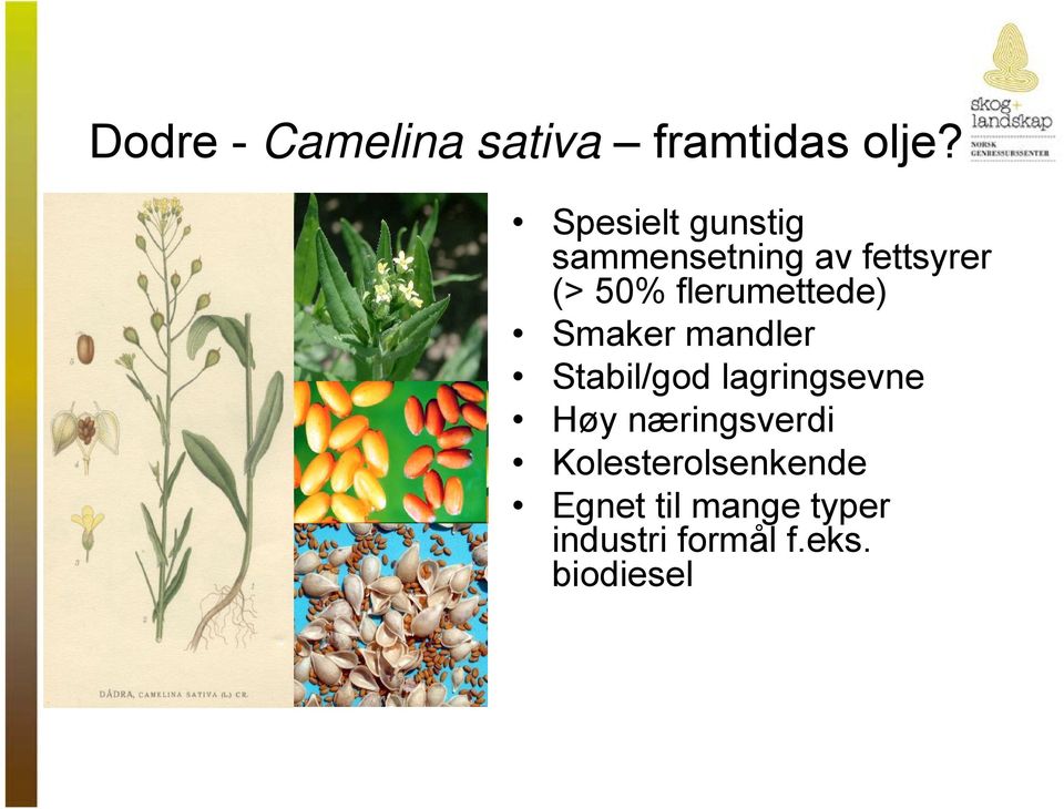 flerumettede) Smaker mandler Stabil/god lagringsevne Høy