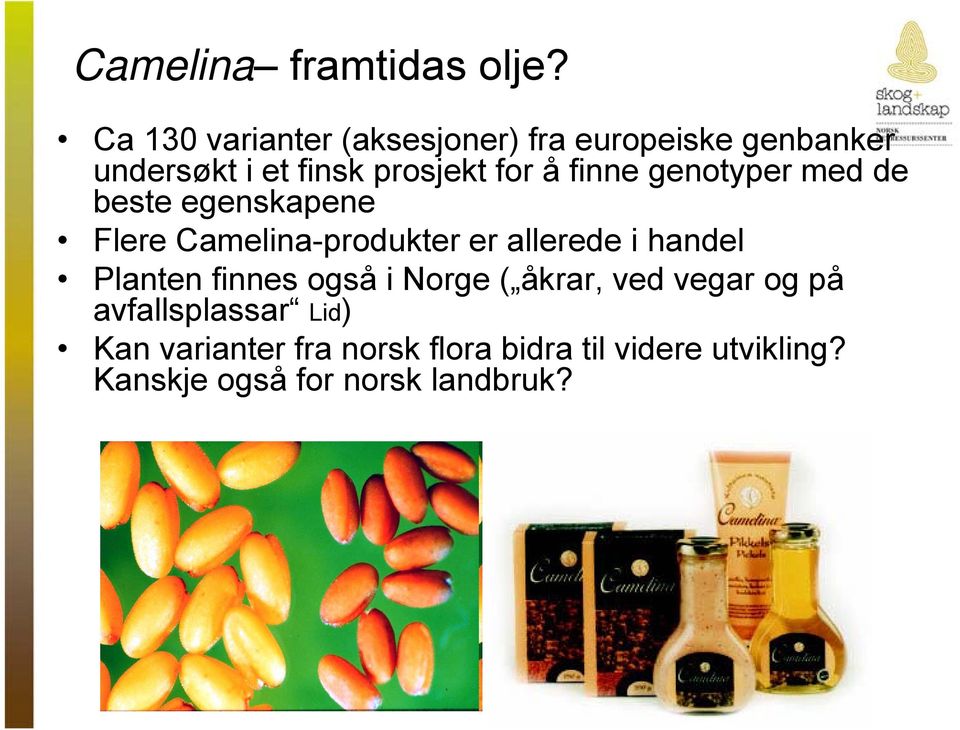 finne genotyper med de beste egenskapene Flere Camelina-produkter er allerede i handel