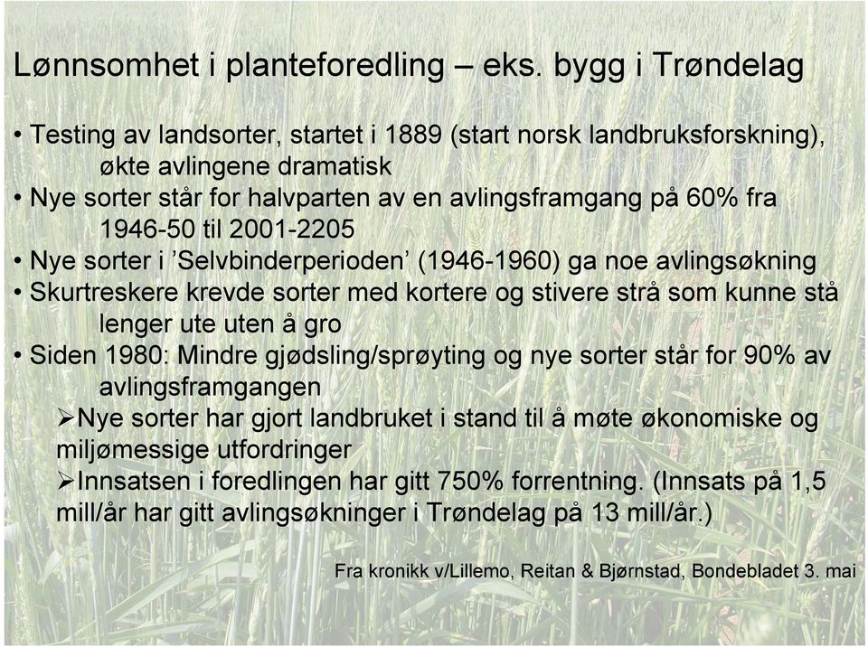 2001-2205 Nye sorter i Selvbinderperioden (1946-1960) ga noe avlingsøkning Skurtreskere krevde sorter med kortere og stivere strå som kunne stå lenger ute uten å gro Siden 1980: Mindre