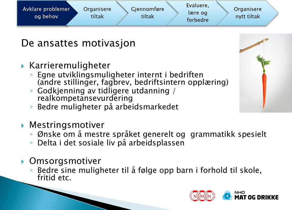 / realkompetansevurdering Bedre muligheter på arbeidsmarkedet Mestringsmotiver Ønske om å mestre språket generelt og grammatikk