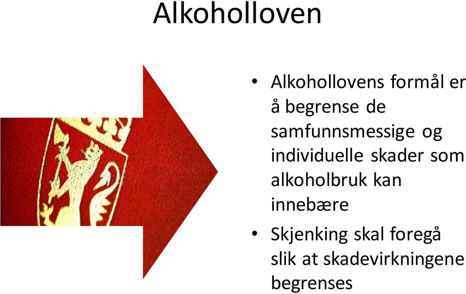 skader som alkoholbruk kan innebære