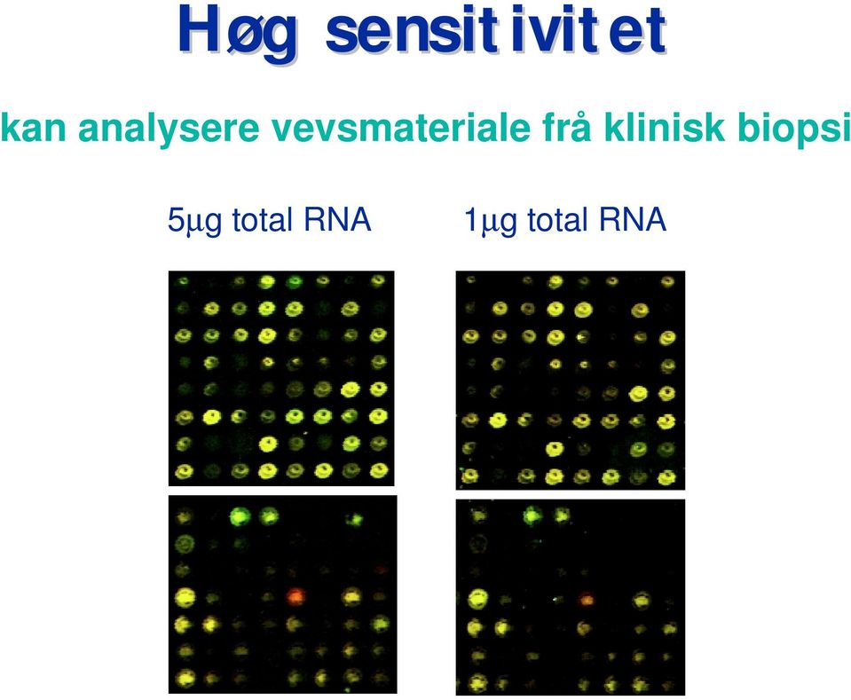 vevsmateriale frå