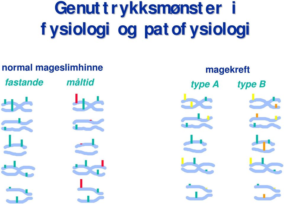 normal mageslimhinne