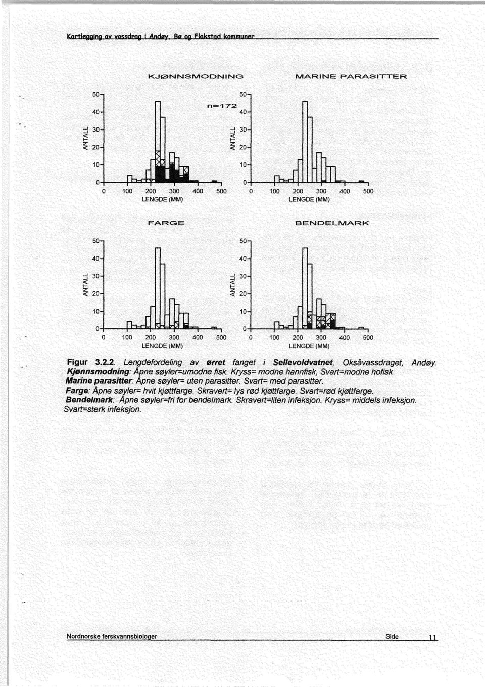 Kryss= modne hannfisk, Svart=modne hofisk Marine parasitter Apnesoyler= uten parasitter. Svart= med parasitter. Farge: Apnesoyler= hvit kjottfarge.