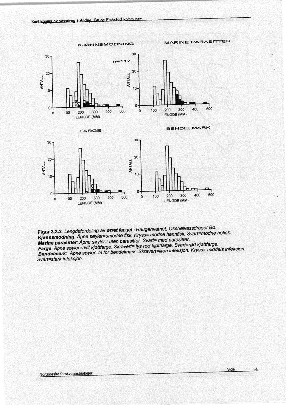 Kjønnsmodning:Apnesoyter=urnodne fisk. Ktyss= modne hannfisk, Svad=modne hofisk. uten parasitter. Svart=medparasitter.