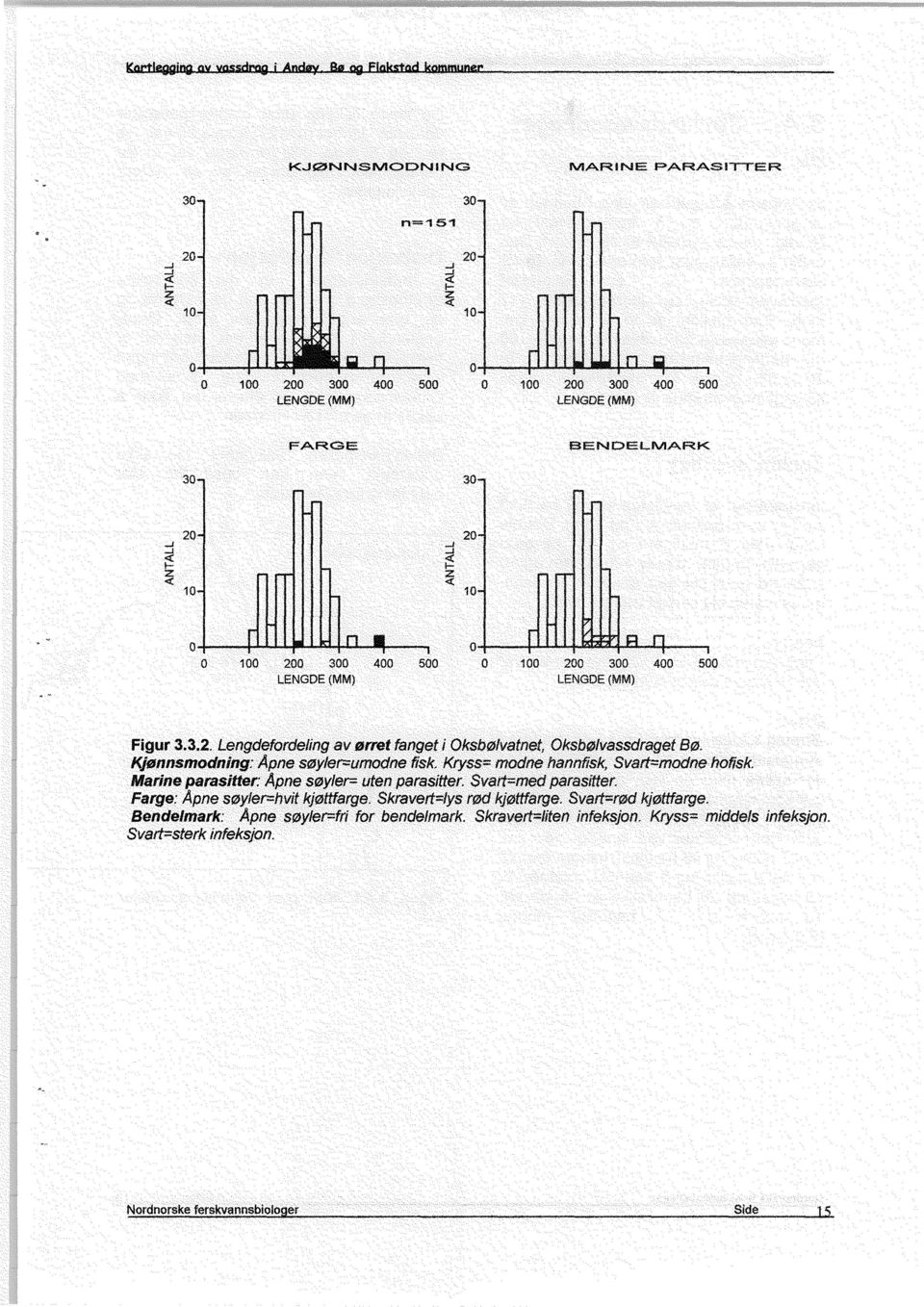 Figur 3.3.2. Lengdefordeling av orret fanget i Oksbolvatnet, Oksbolvassdraget Bo.