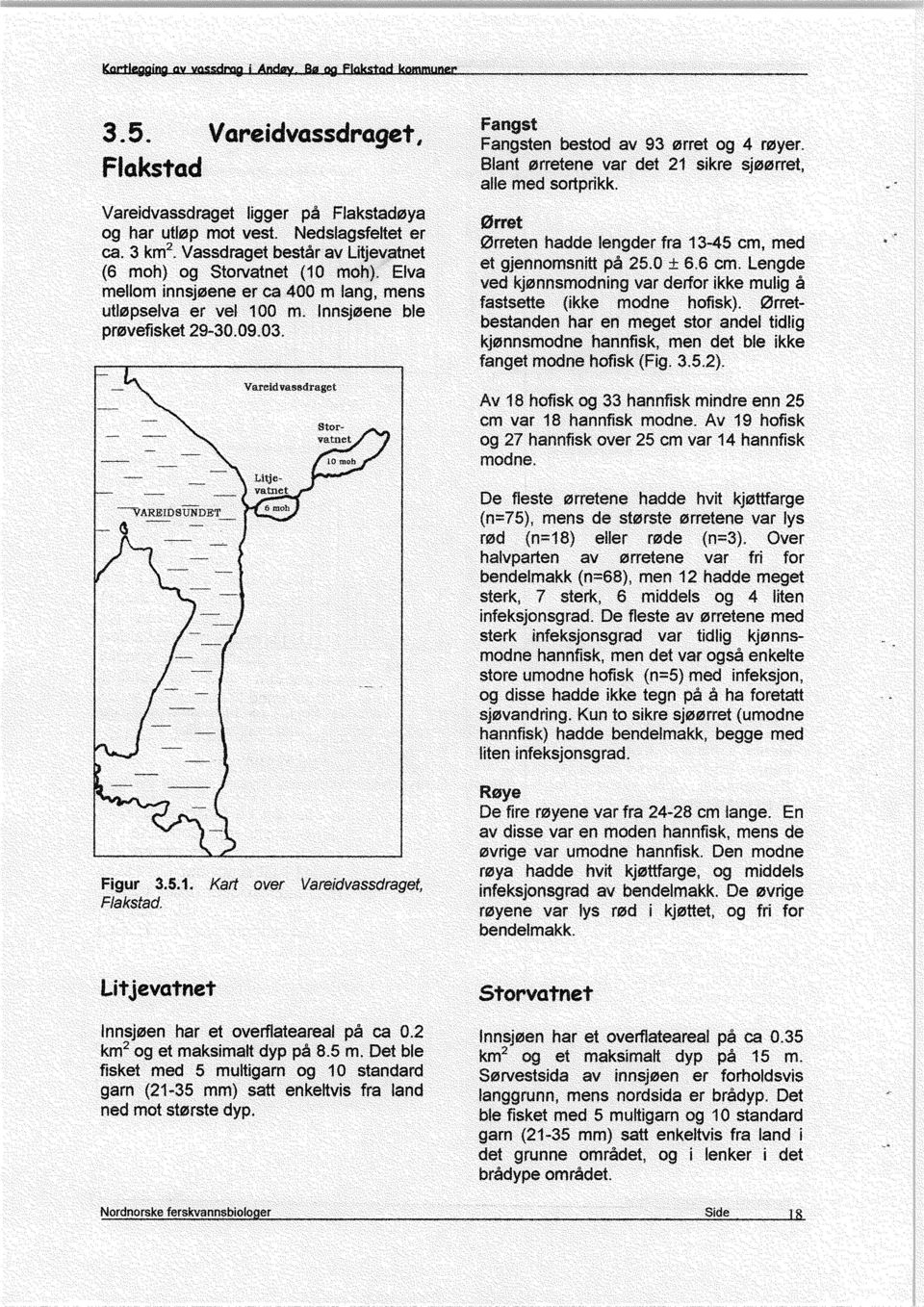 Blant orretene var det 21 sikre sjoorret, alle med sortprikk. Orret ørreten hadde lengder fra 13-45 cm, med et gjennomsnitt på 25.0 ± 6.6 cm.