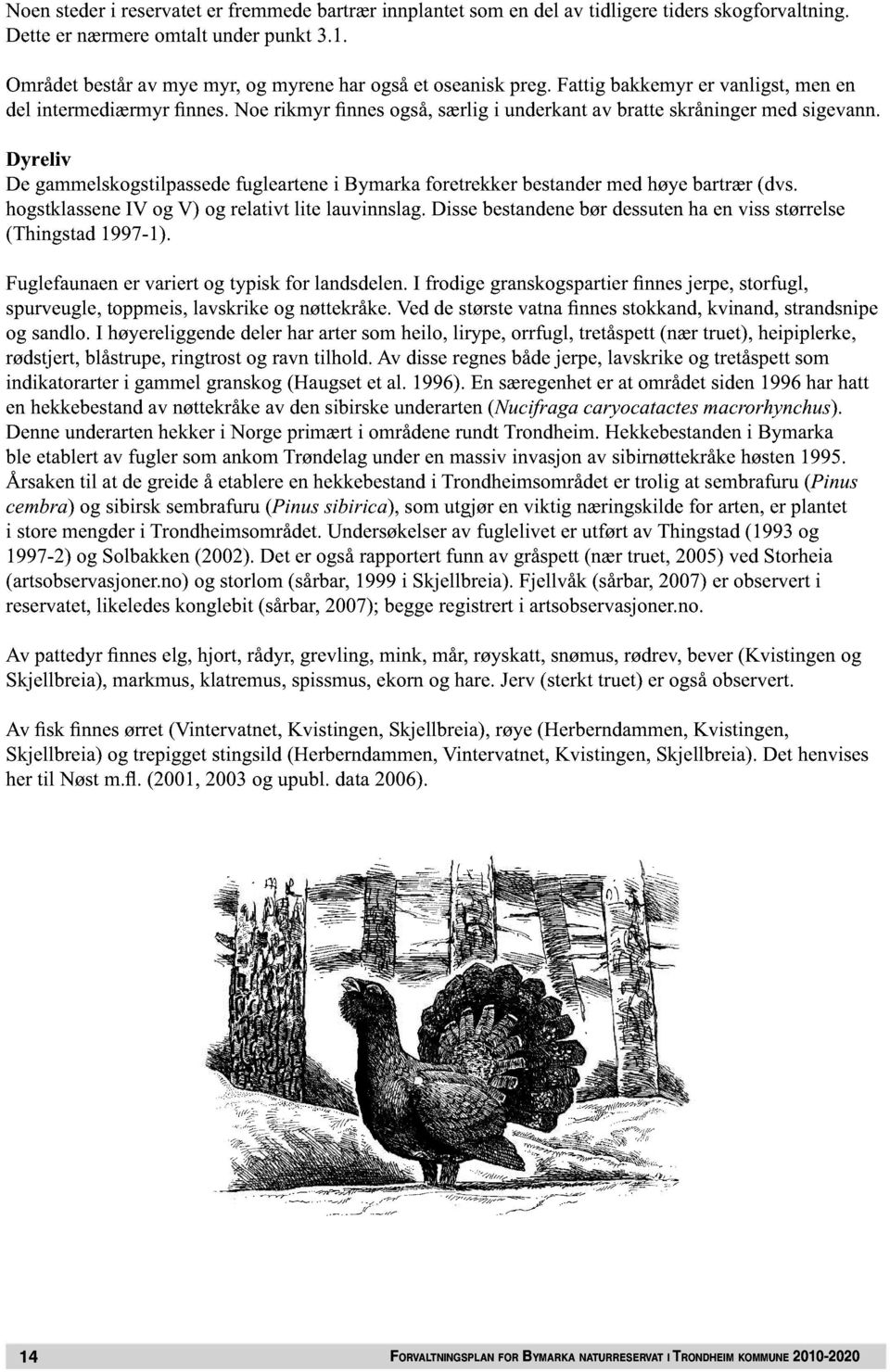 I fri rssprtir s jrp, strfl, sprvl, tppis, lvsri øttrå. V størst vt s st, vi, strsip sl. I øyrli lr r rtr s il, liryp, rrfl, trtåsptt (ær trt), ipiplr, røstjrt, blåstrp, ritrst rv till.