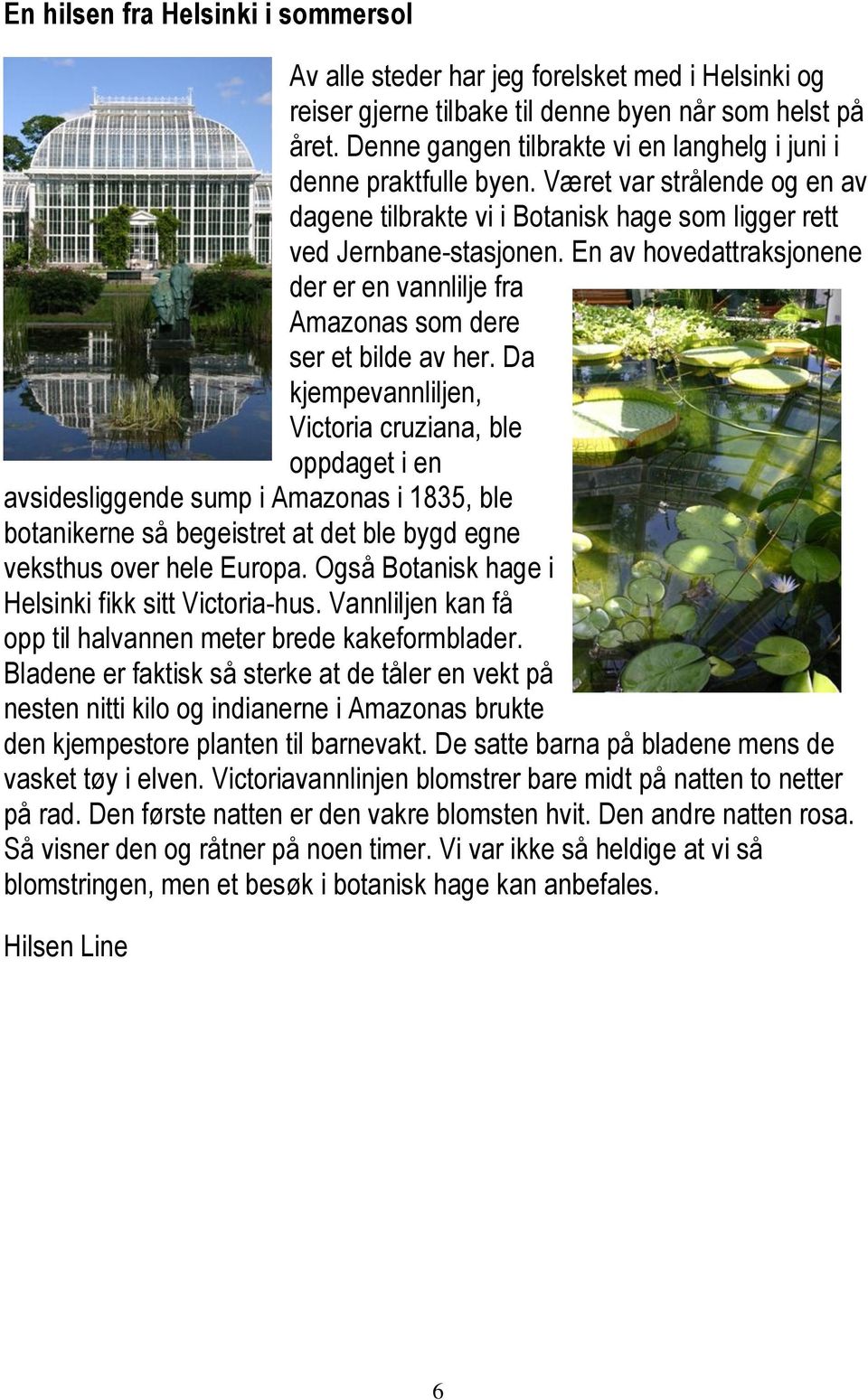 En av hovedattraksjonene der er en vannlilje fra Amazonas som dere ser et bilde av her.