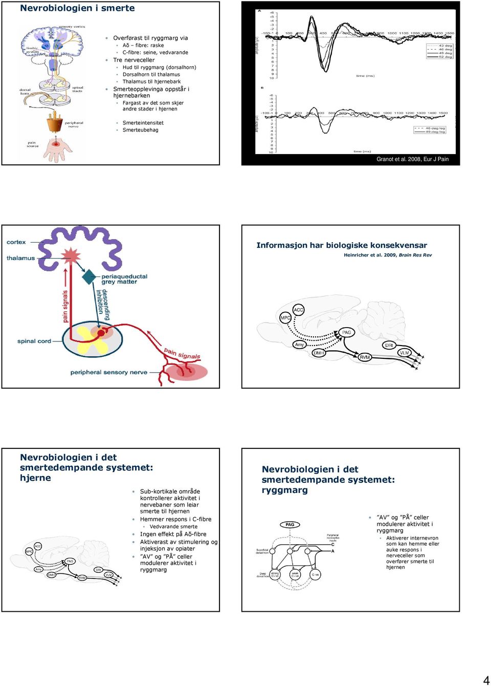 28, Eur J Pain Informasjon har biologiske konsekvensar Heinricher et al.