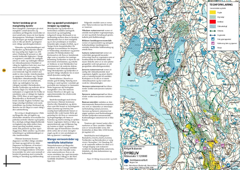 Våtmarks- og kulturlandskapet ved Tyrifjorden og Steinsfjorden tiltrekker seg særlig mye fugler (ca. 230 Lamyra naturreservat verner en arter).