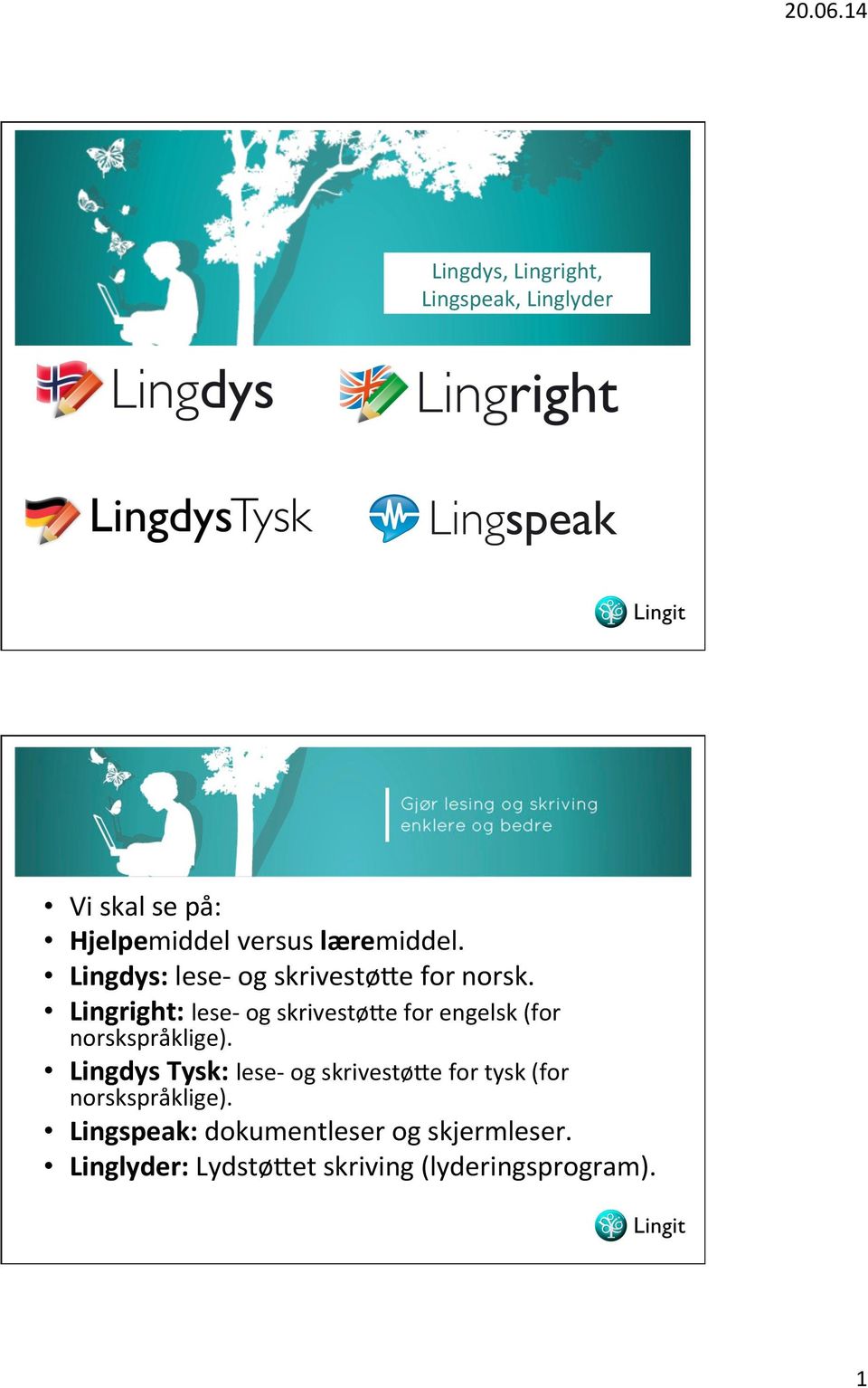 Lingdys: lese- og skrivestøae for norsk.