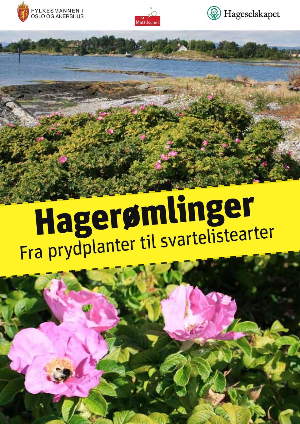 SafetyAuthority Hagerømlinger