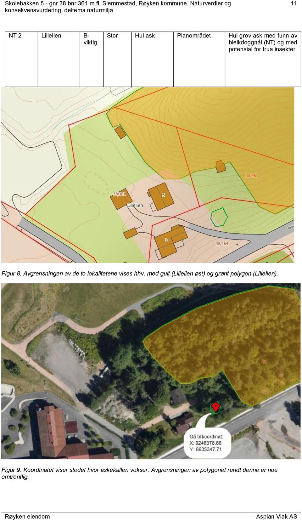 Avgrensningen av de to lokalitetene vises hhv.