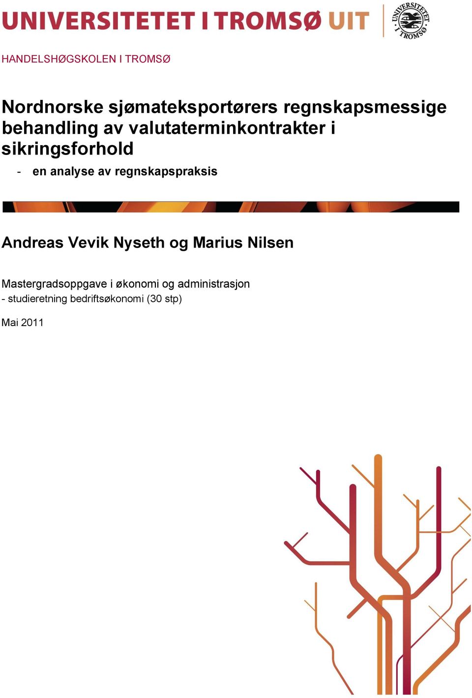 regnskapspraksis Andreas Vevik Nyseth og Marius Nilsen Mastergradsoppgave