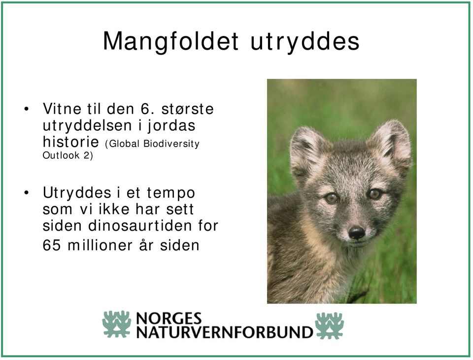 Biodiversity Outlook 2) Utryddes i et tempo som