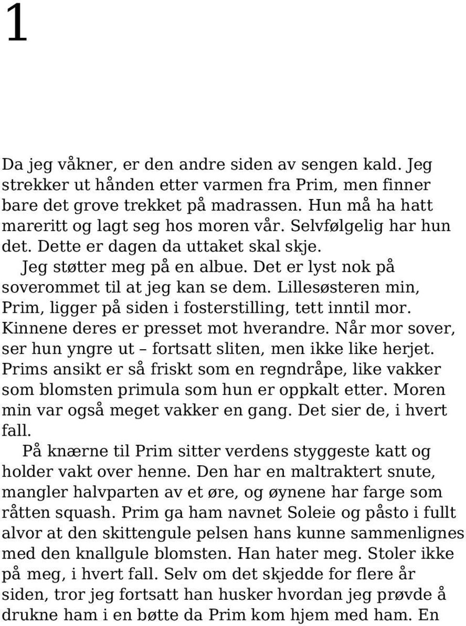 Lillesøsteren min, Prim, ligger på siden i fosterstilling, tett inntil mor. Kinnene deres er presset mot hverandre. Når mor sover, ser hun yngre ut fortsatt sliten, men ikke like herjet.