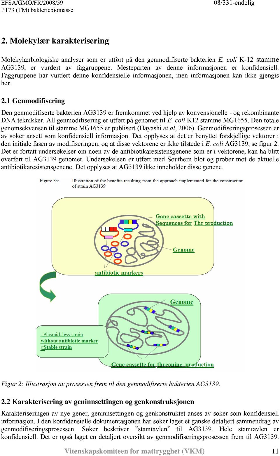 1 Genmodifisering Den genmodifiserte bakterien AG3139 er fremkommet ved hjelp av konvensjonelle - og rekombinante DNA teknikker. All genmodifisering er utført på genomet til E. coli K12 stamme MG1655.