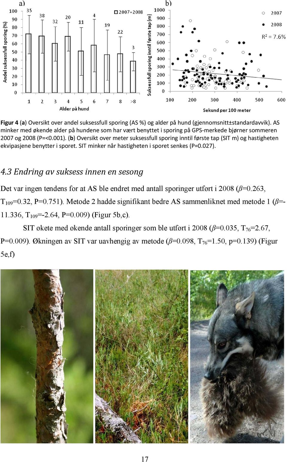 (b) Oversikt over meter suksessfull sporing inntil første tap (SIT m) og hastigheten ekvipasjene benytter i sporet. SIT minker når hastigheten i sporet senkes (P=0.027). 4.